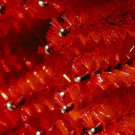 Brow Club at O•A•Sis Spa & Academy in Portland, OR